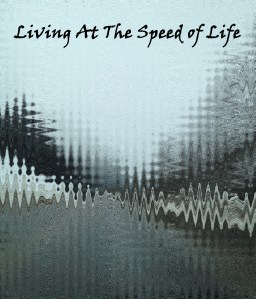 living at the speed of life copy
