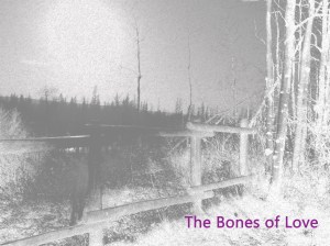 The Bones of Love copy