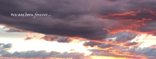 we are born forever copy